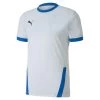 Jersey Puma Team Goal 23 -Negozio Di Attrezzature Per Il Calcio 704171 12 0 puma pum 704171 12 imagefront