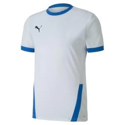 Jersey Puma Team Goal 23
