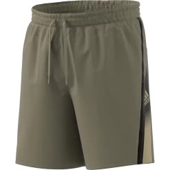 Pantaloncini Adidas Aeroready Designed To Move Sport