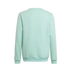 Top Della Tuta Per Bambini Adidas Entrada 22 -Negozio Di Attrezzature Per Il Calcio hc5042 app photo back center white 1645105802