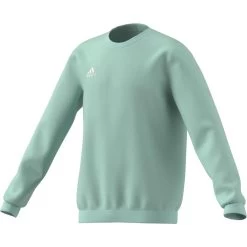 Top Della Tuta Per Bambini Adidas Entrada 22 -Negozio Di Attrezzature Per Il Calcio hc5042 app virtual standard white 1645107095