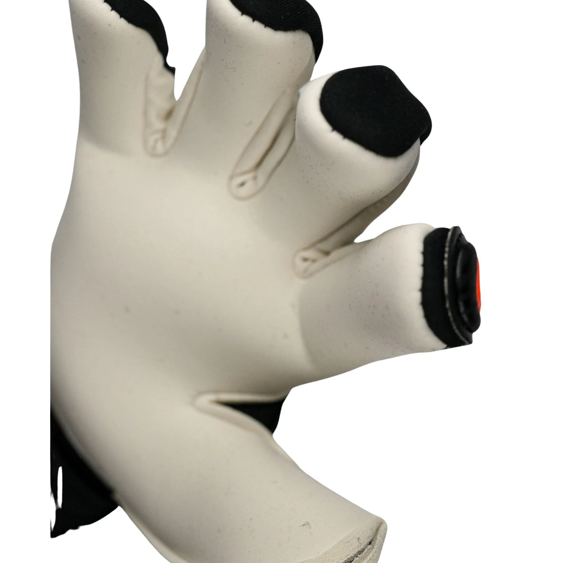 Guanti Da Portiere Reusch Attrakt Gold X GORE-TEX INFINIUM 6 Guanti Da Portiere Reusch Attrakt Gold X GORE-TEX INFINIUM - immagine 4